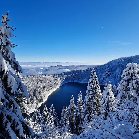 Duplex F2 Au Pied Des Pistes Du Blanc 公寓