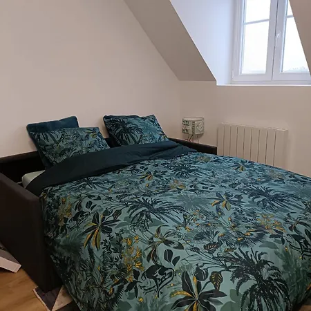 公寓 Duplex F2 Au Pied Des Pistes Du Blanc